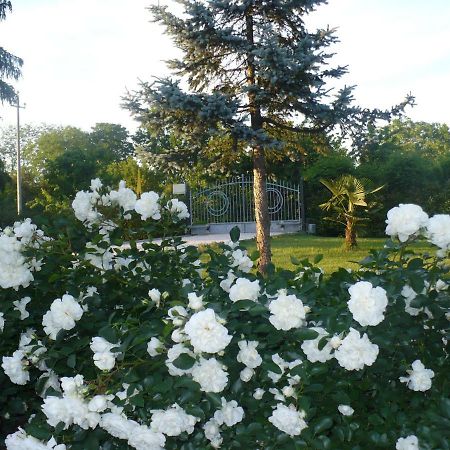 L'Albero Della Gioia Bed and Breakfast Villanova sull'Arda Buitenkant foto