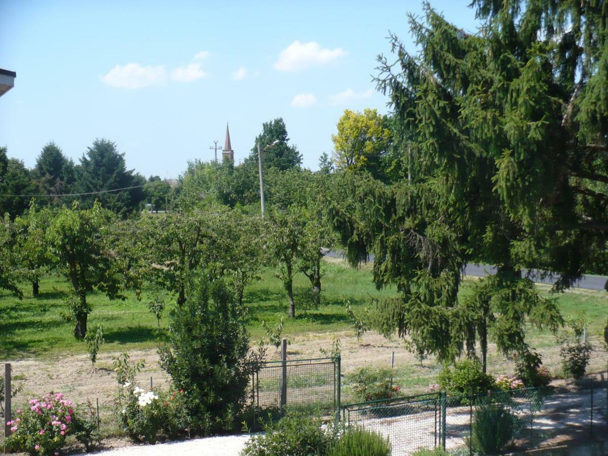 L'Albero Della Gioia Bed and Breakfast Villanova sull'Arda Buitenkant foto