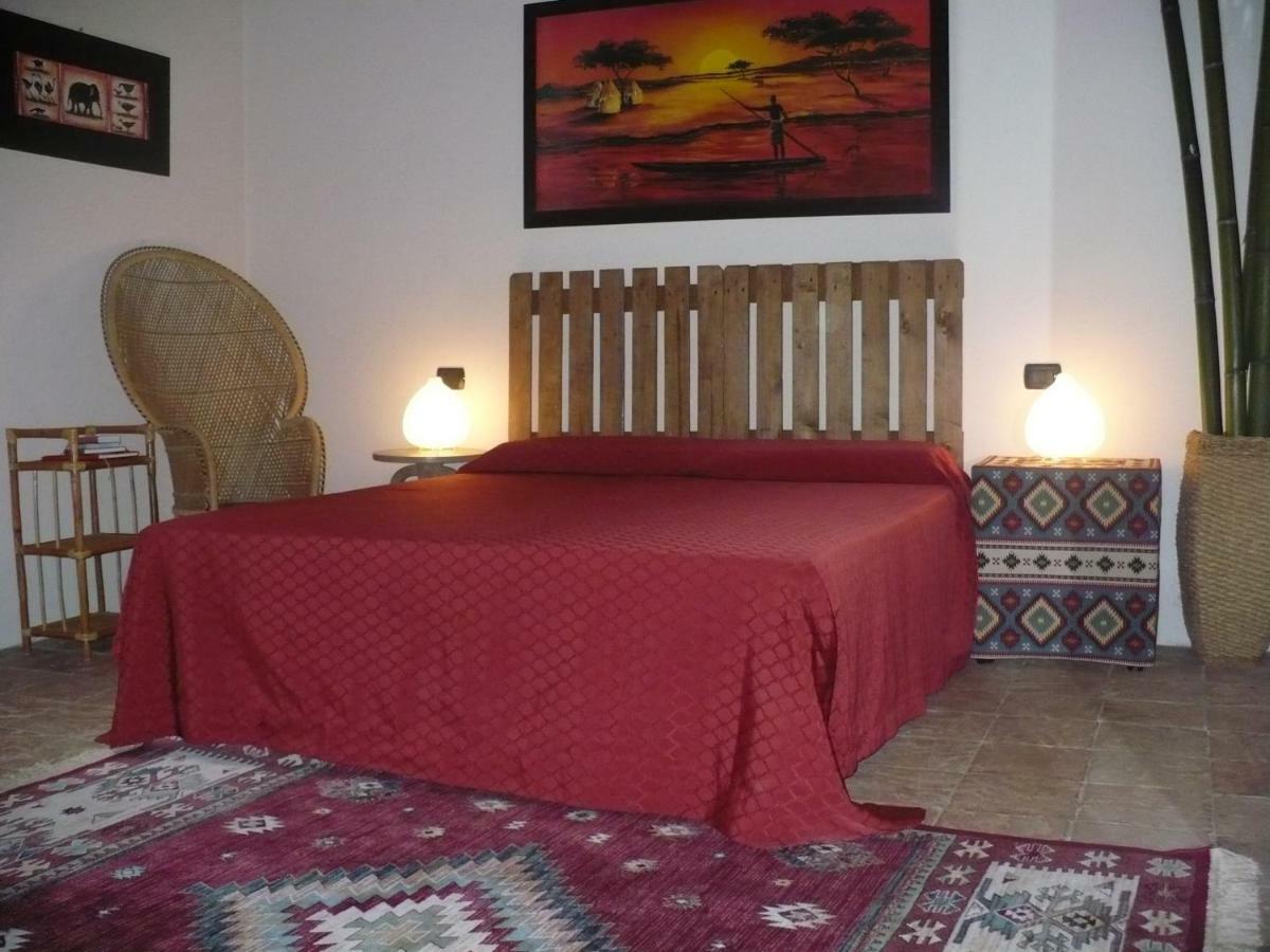 L'Albero Della Gioia Bed and Breakfast Villanova sull'Arda Buitenkant foto