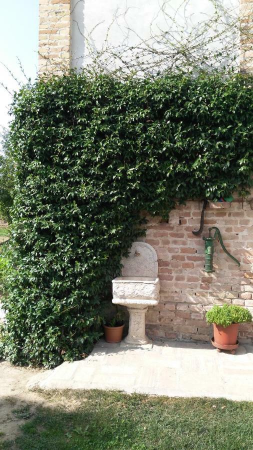L'Albero Della Gioia Bed and Breakfast Villanova sull'Arda Buitenkant foto